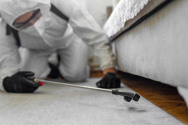Professional Cockroach Control technician working in Commerce, OK