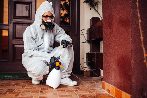 Reliable Cockroach Control contractor in Commerce, OK by Nex Pest Control